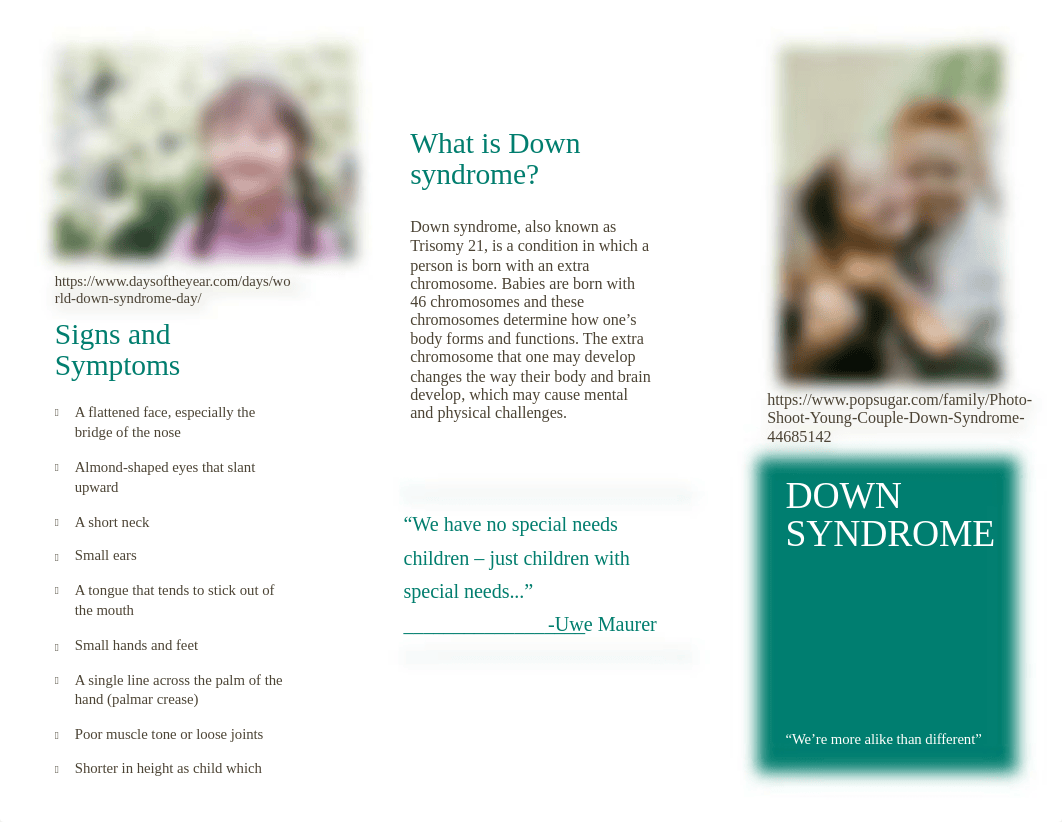 Down Syndrome Brochure .docx_dggiq162pt6_page1