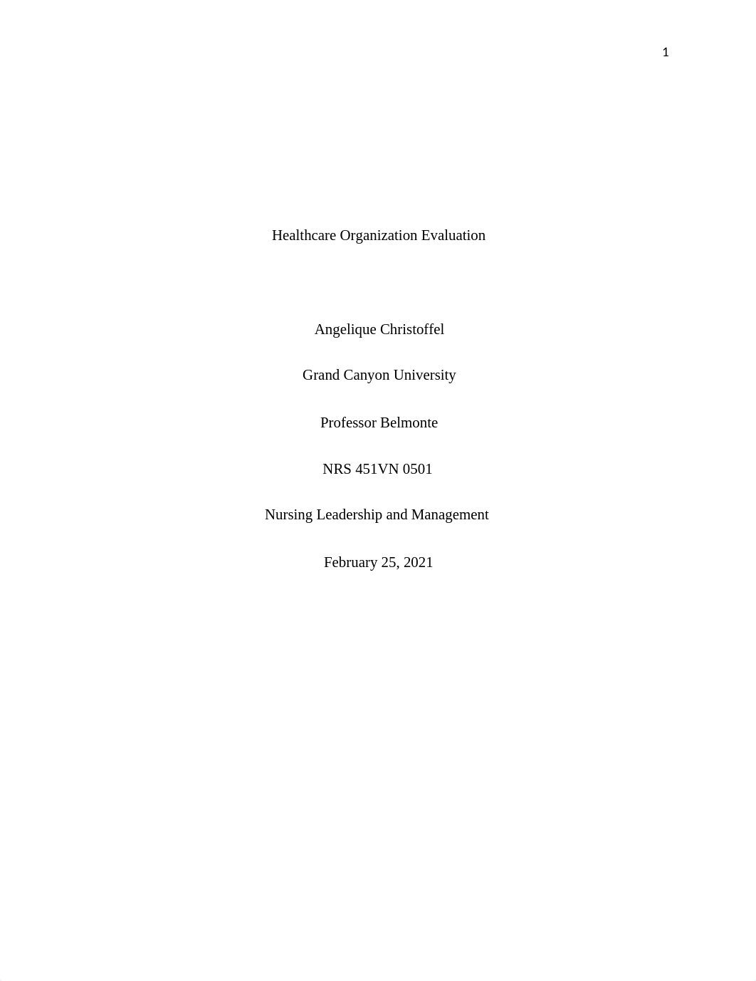 Healthcare Organization Evaluation.docx_dggivy4u5na_page1