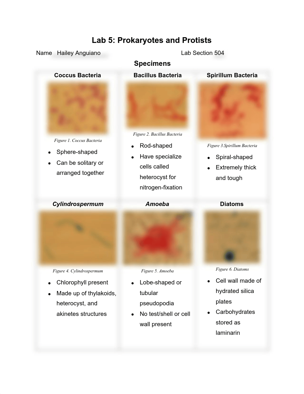 anguianoh.pdf_dggra7f0soo_page1