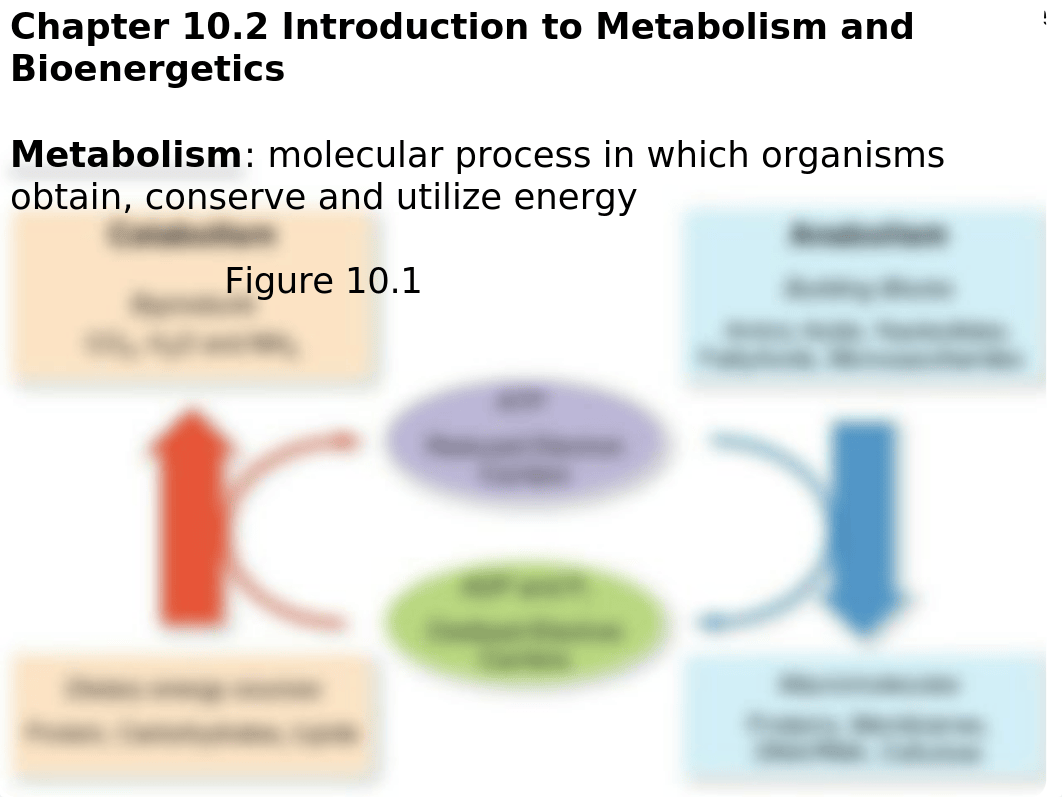 Lecture_10 + iclicker answers.pptx_dggrk0m8jz7_page5