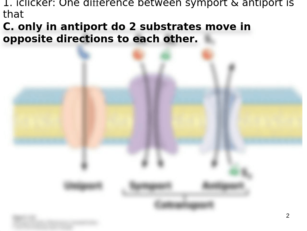 Lecture_10 + iclicker answers.pptx_dggrk0m8jz7_page2