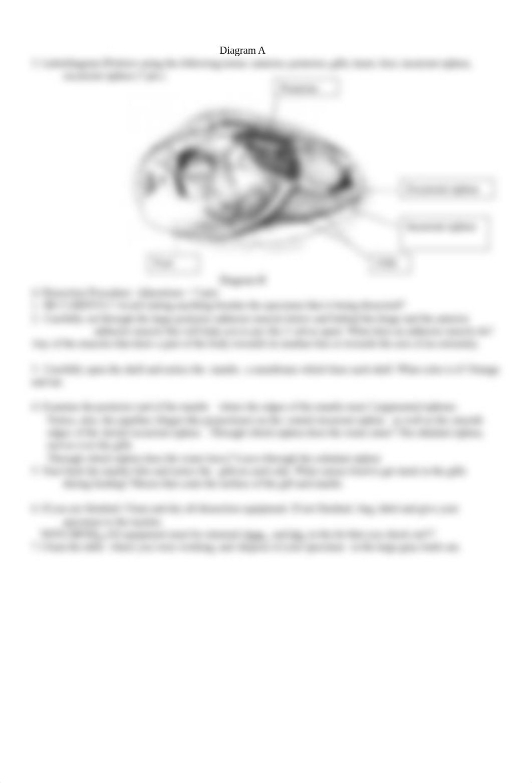 Mussel Lab.docx_dggus27hbfa_page2