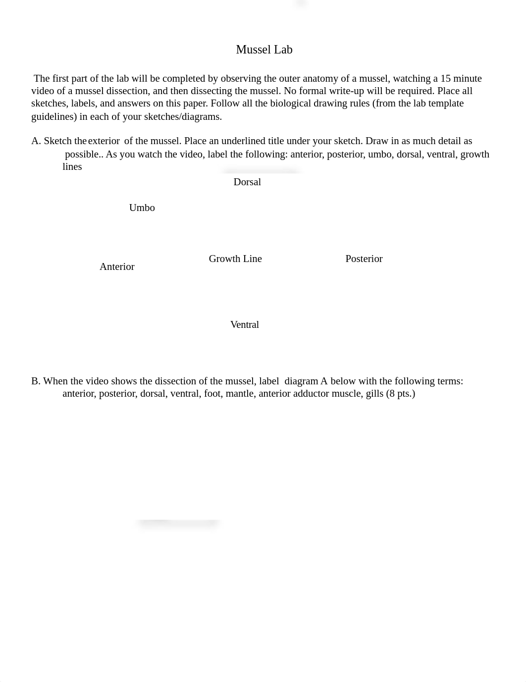 Mussel Lab.docx_dggus27hbfa_page1