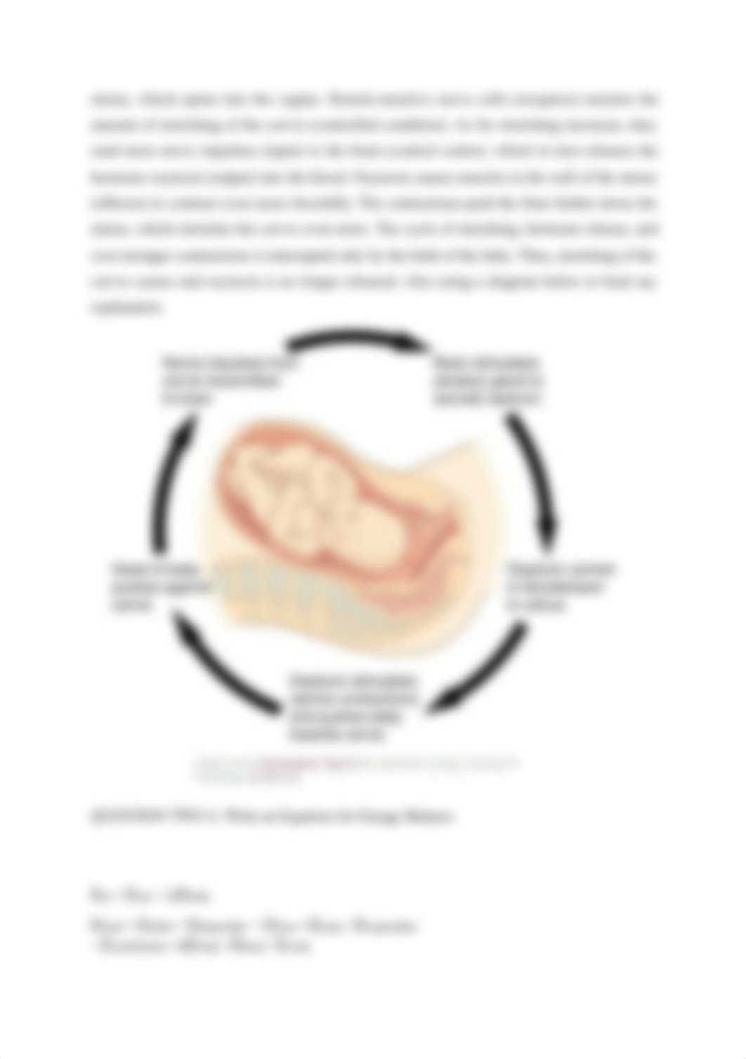 NEGATIVE FEEDBACK LOOPS WITH EXAMPLE.docx_dggygtgfdh9_page2