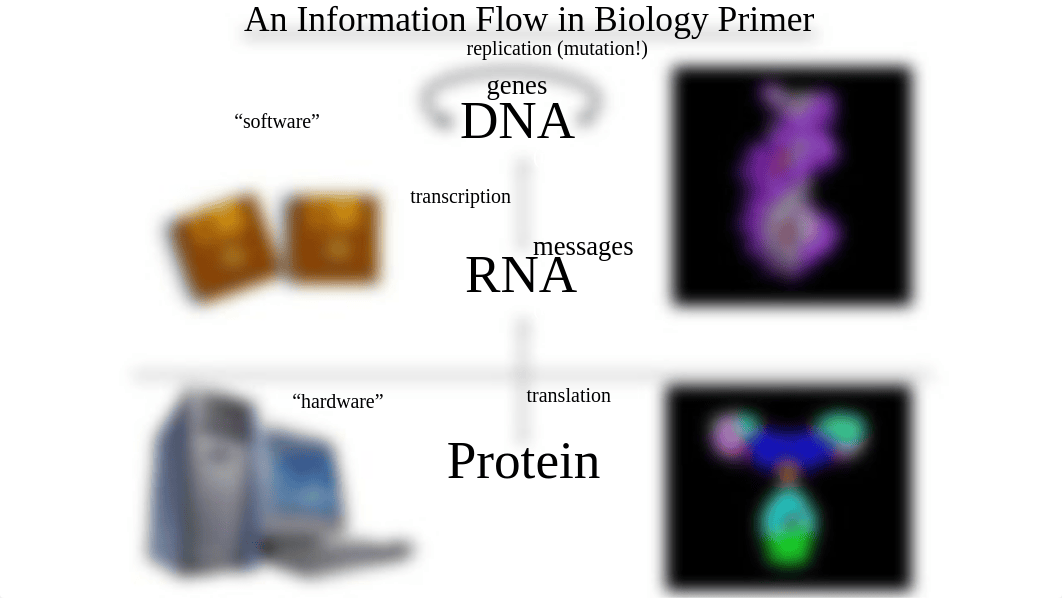 evolution_activity1.pptx_dgh1mkswkv6_page2