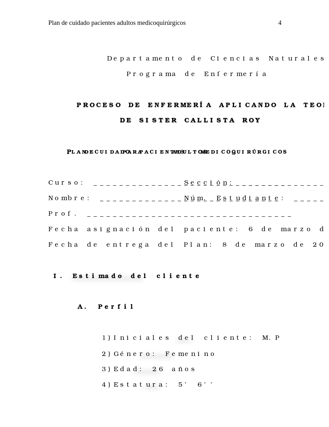 Plan Cuidado  Adulto Medicoquirúrgico-.doc_dgh6klmdey1_page4