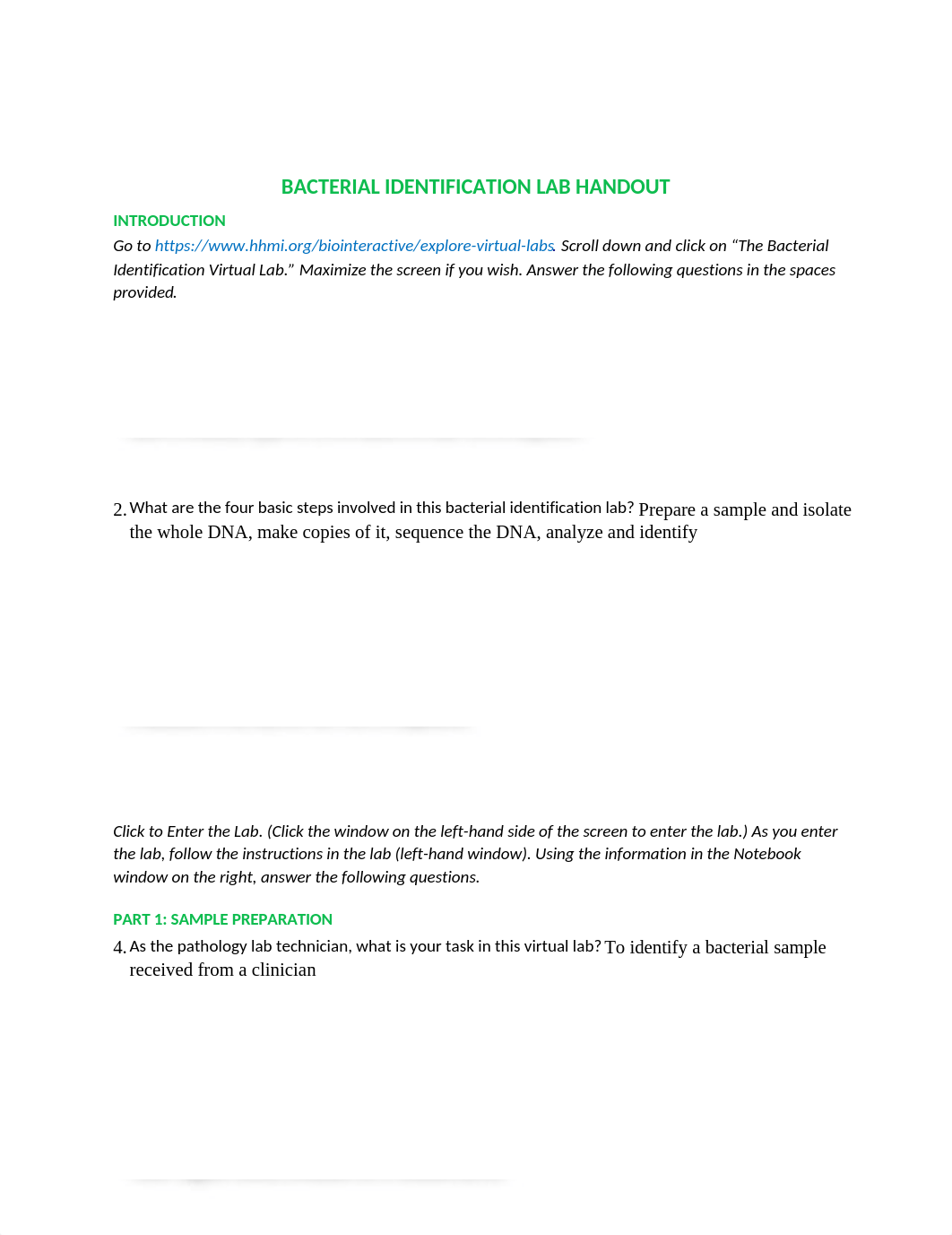 Bacterial-Identification-Lab-Worksheet-Student.docx_dgh7fuygy77_page1