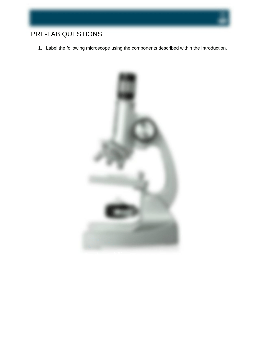 Intro to the Microscope.docx_dghdtd62nmv_page1