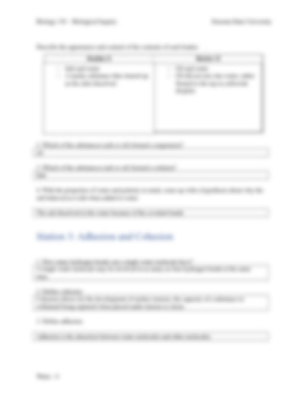 110 W2 Properties of Water Lab WORKSHEET.docx_dghrtr1m228_page4