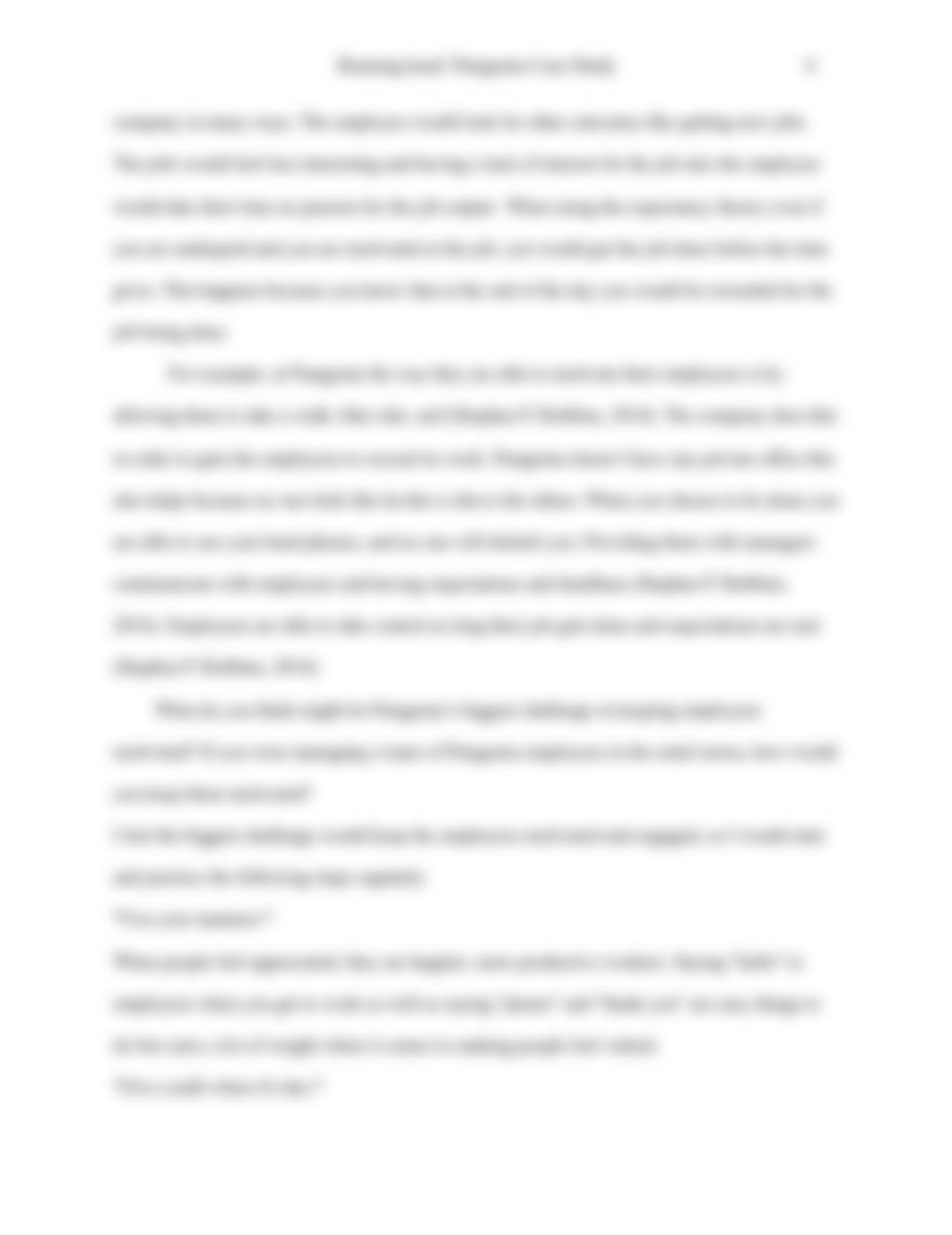 Patagonia Case Study.doc_dghudf7e6c9_page4