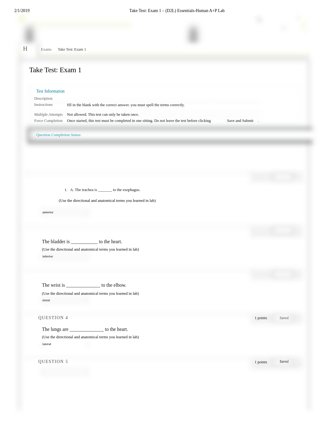 Take Test_ Exam 1 - (D2L) Essentials-Human A+P Lab.pdf_dghx141u244_page1