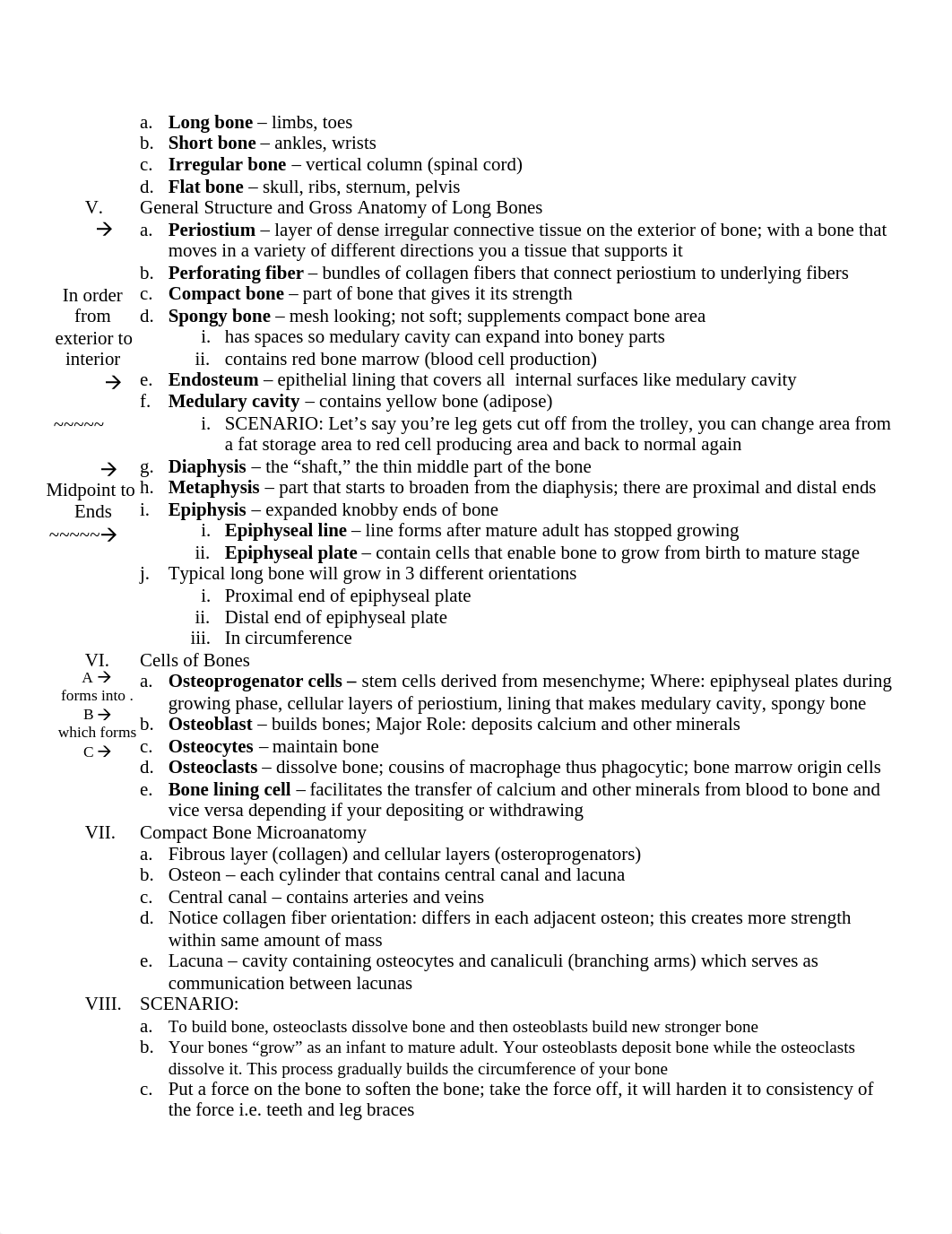 Chapter_6_Cartilage_And_Bone_Connective_Tissue_dgi38sz8q37_page2