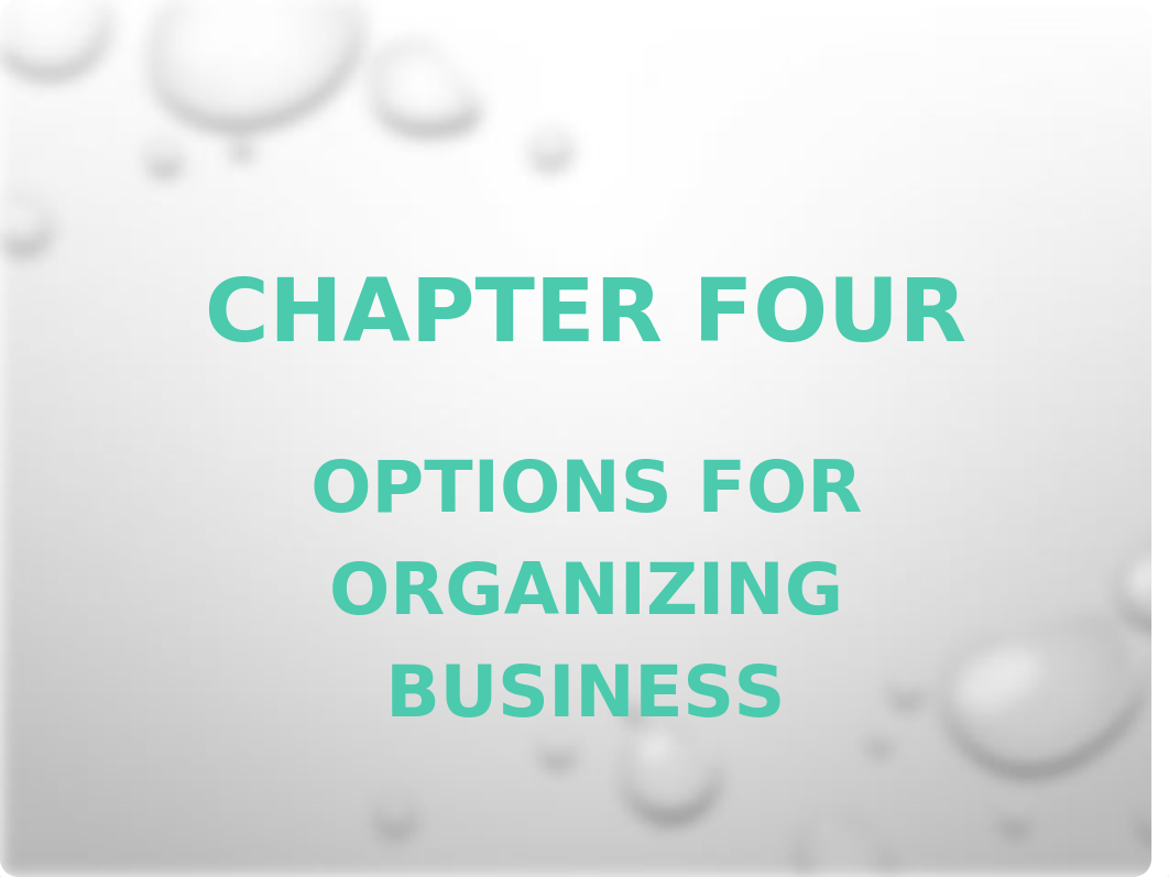 Chapter 4 Options for Organizing Business_dgi5lobe6oj_page1