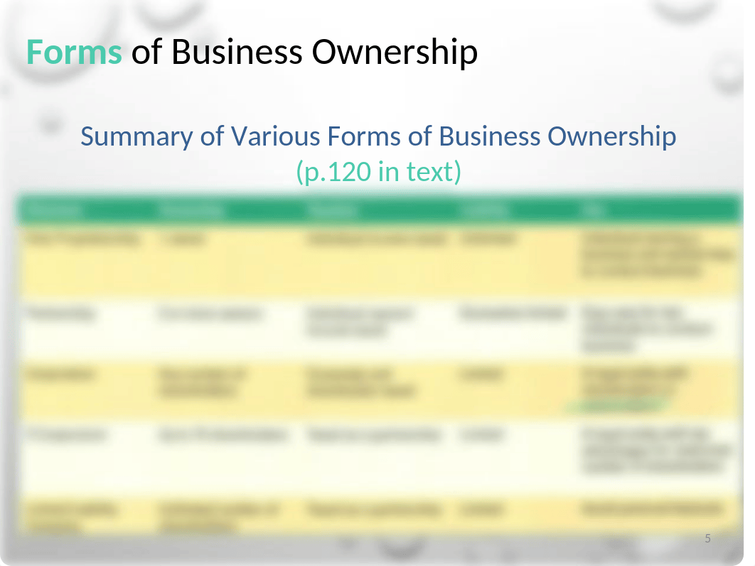 Chapter 4 Options for Organizing Business_dgi5lobe6oj_page5