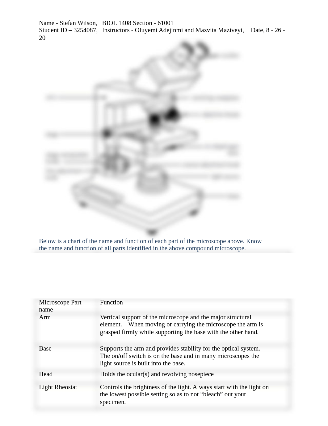 5 Microscopy and the cell (FA20)(1).docx_dgi9aamv6m8_page3