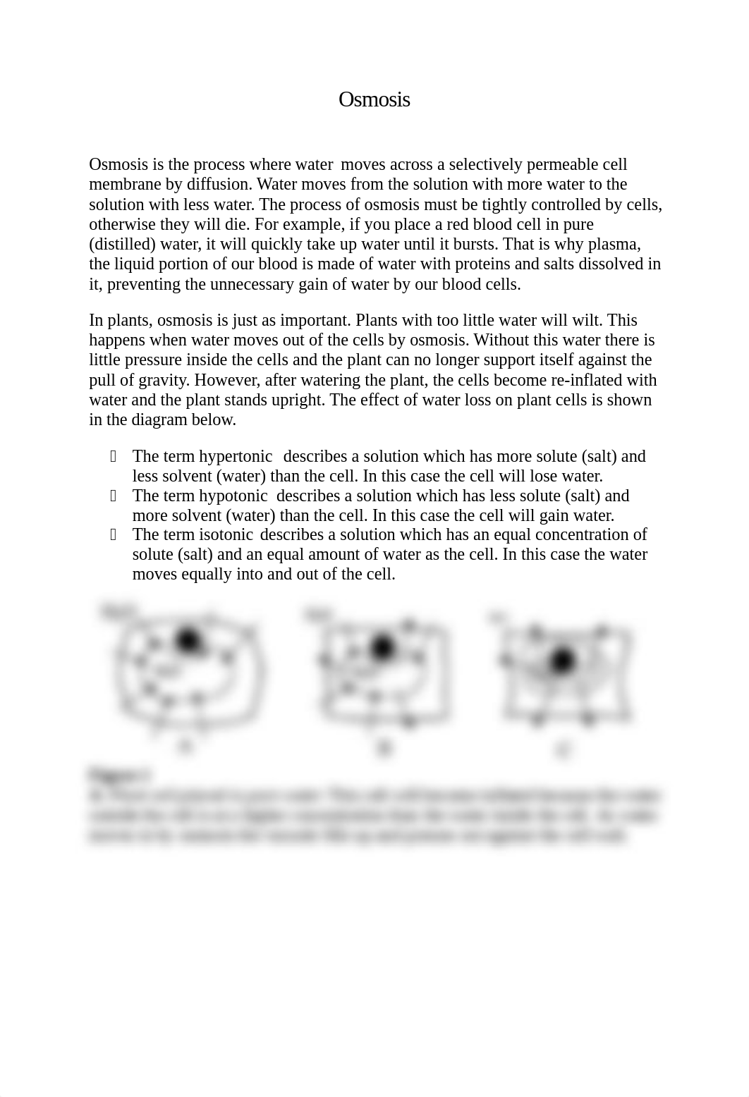 Lab Report 4 -Osmosis Lab with data.docx_dgi9bdyw0ox_page1