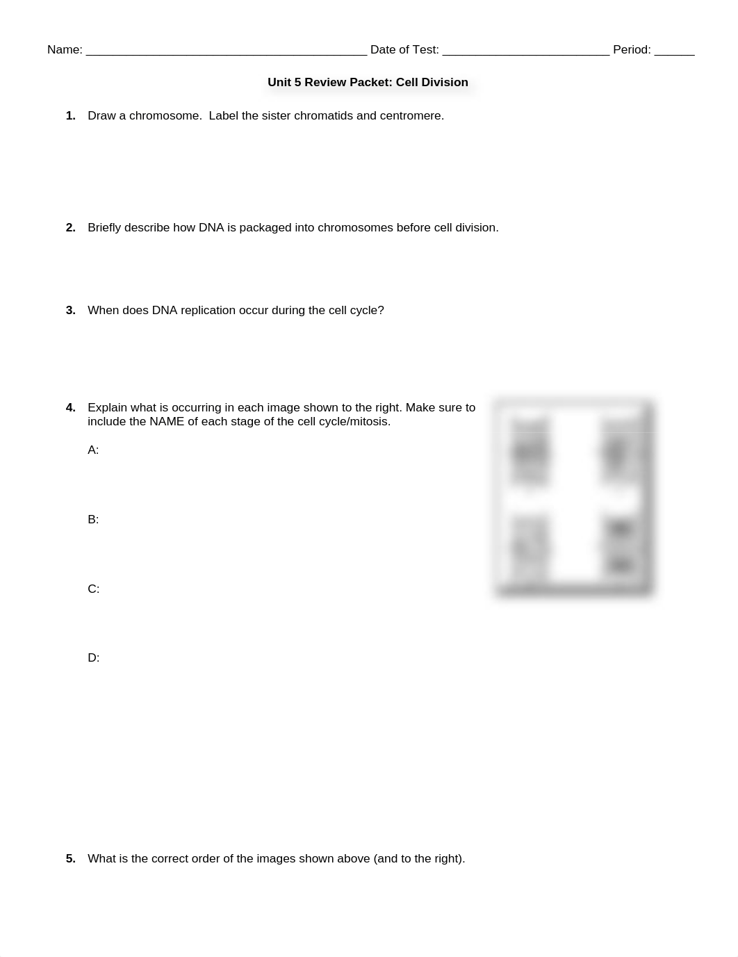 Unit 5 Cell Division Review Packet (1).docx_dgid2yuioss_page1