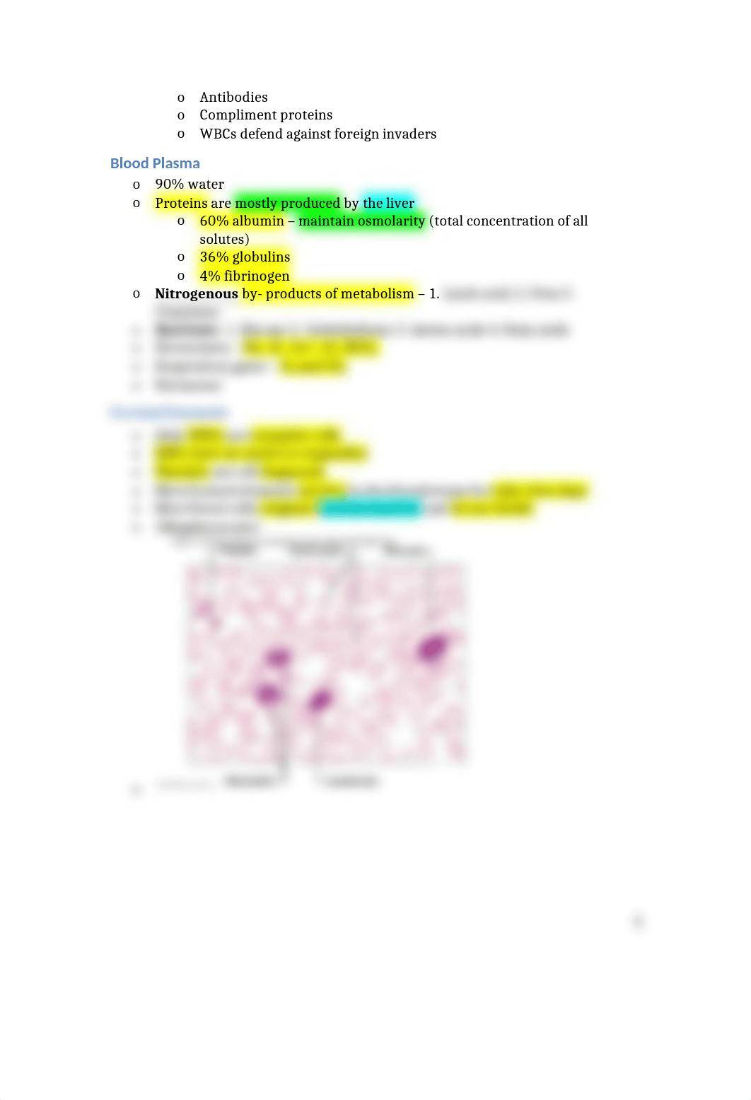 Chapter 17 Blood.docx_dgik2xe80s9_page2