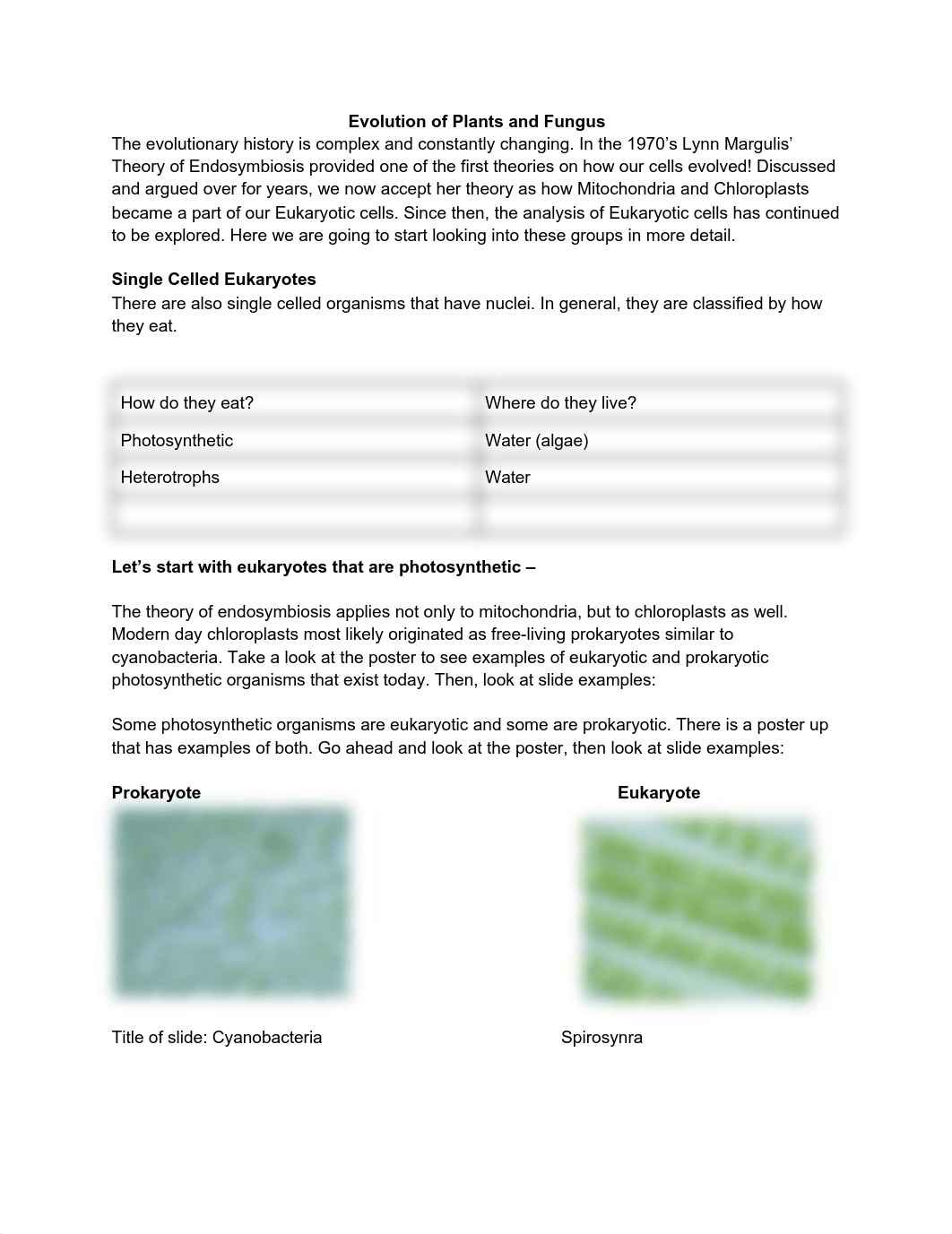 Evolution of Plants and Fungus.pdf_dgilrz0l5nv_page1