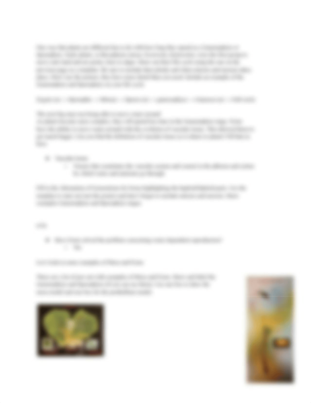 Evolution of Plants and Fungus.pdf_dgilrz0l5nv_page3