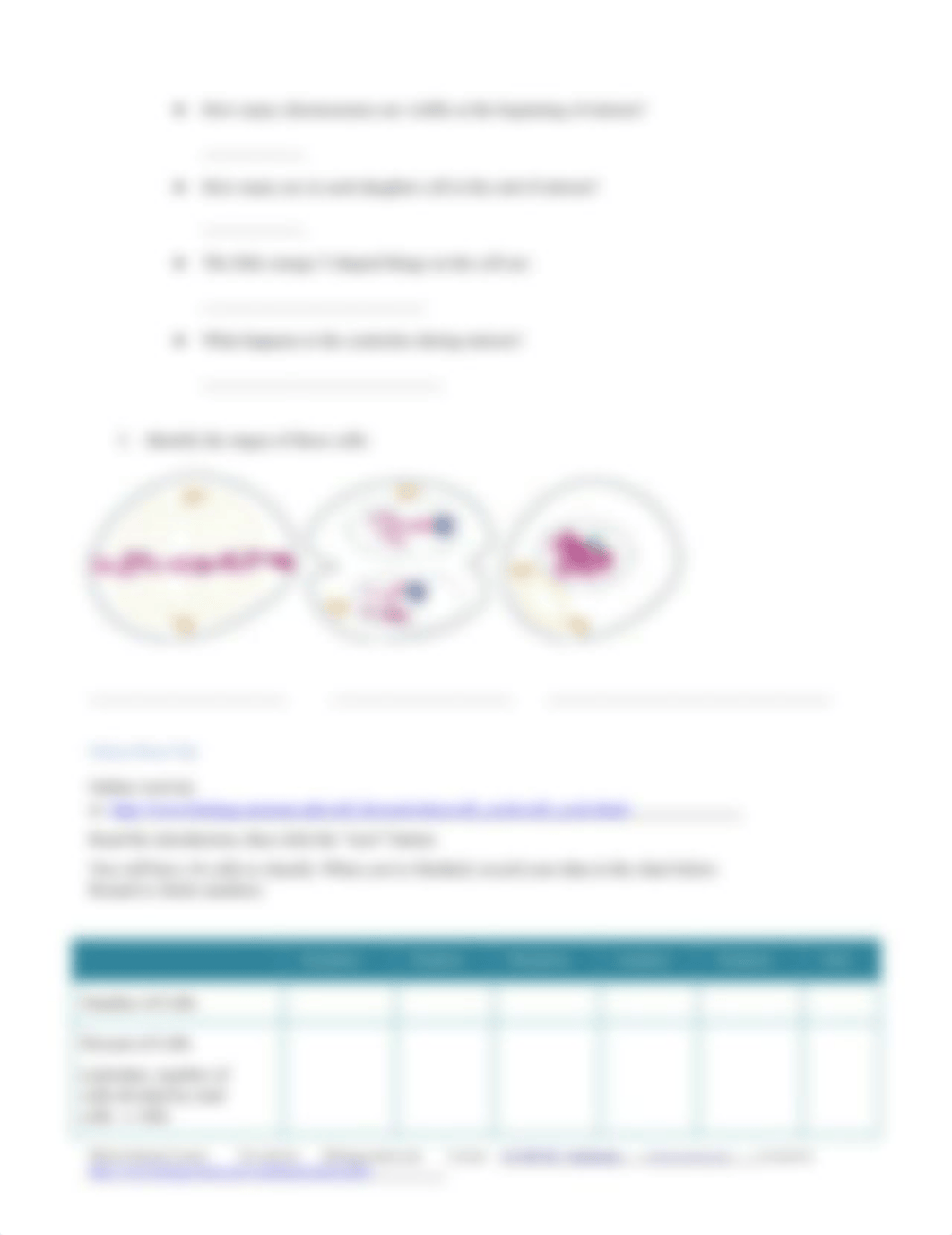 Mitosis_and Meiosis_Worksheet.docx_dgir4n5fuzf_page3