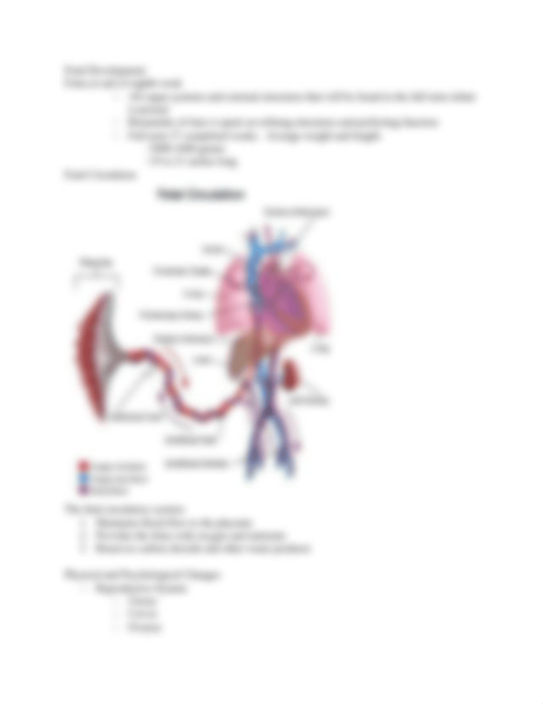 Nurs 2005 sg exam 1.docx_dgivma73pog_page4