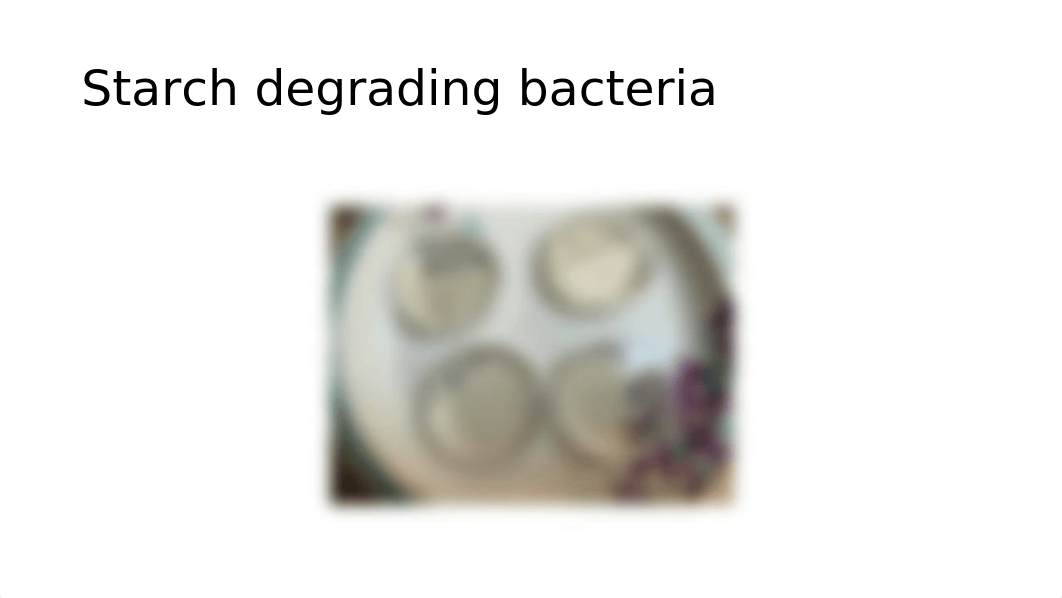 Selective_media_and_agar.pptx_dgj3ogekgh4_page3