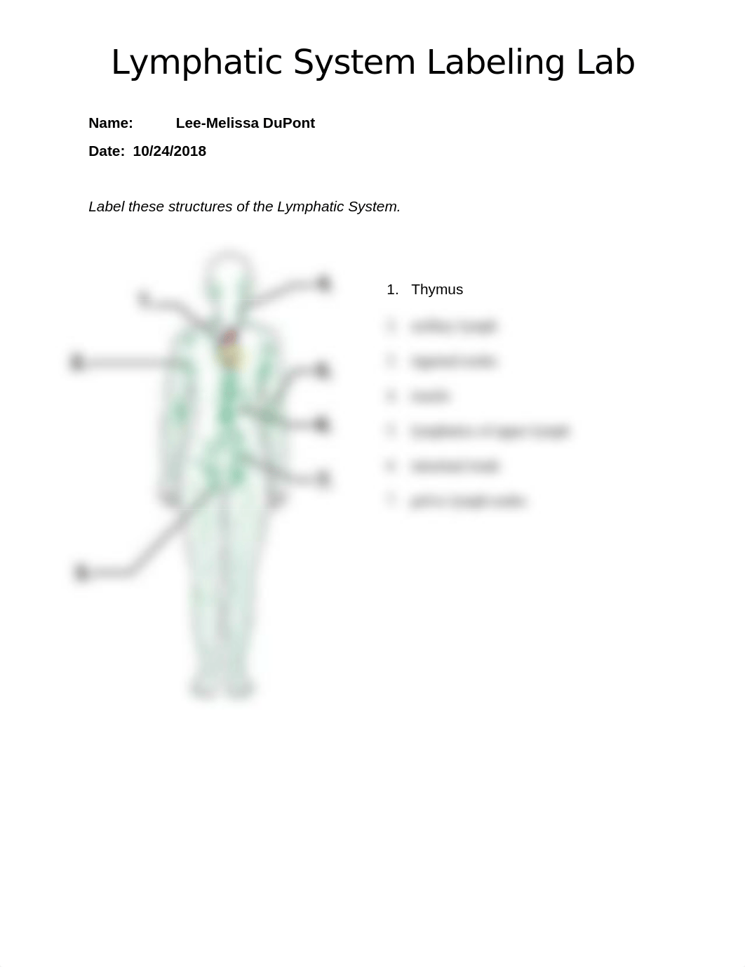 Lymphatic System Labeling Lab.docx_dgj7xltyg0q_page1