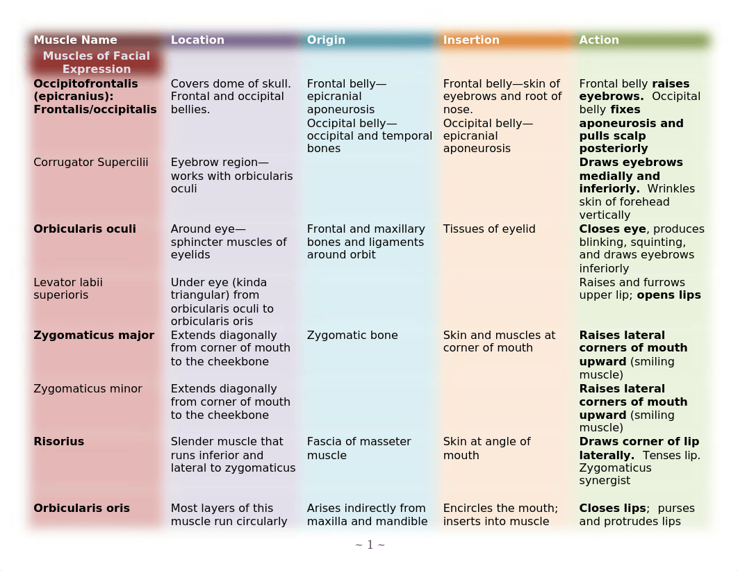 Muscle Chart.docx_dgj8ofua3hn_page1