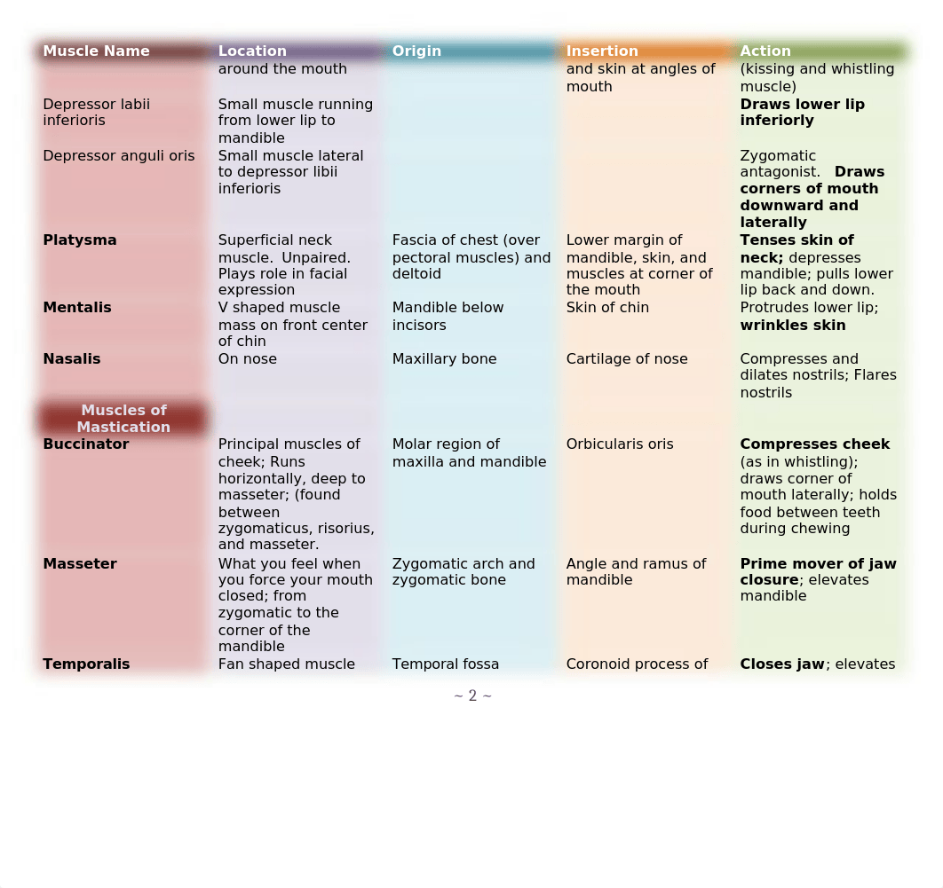 Muscle Chart.docx_dgj8ofua3hn_page2