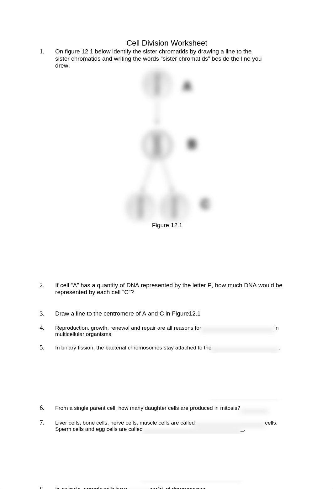 Cell Division Worksheet (2).rtf_dgj9f2twtpq_page1