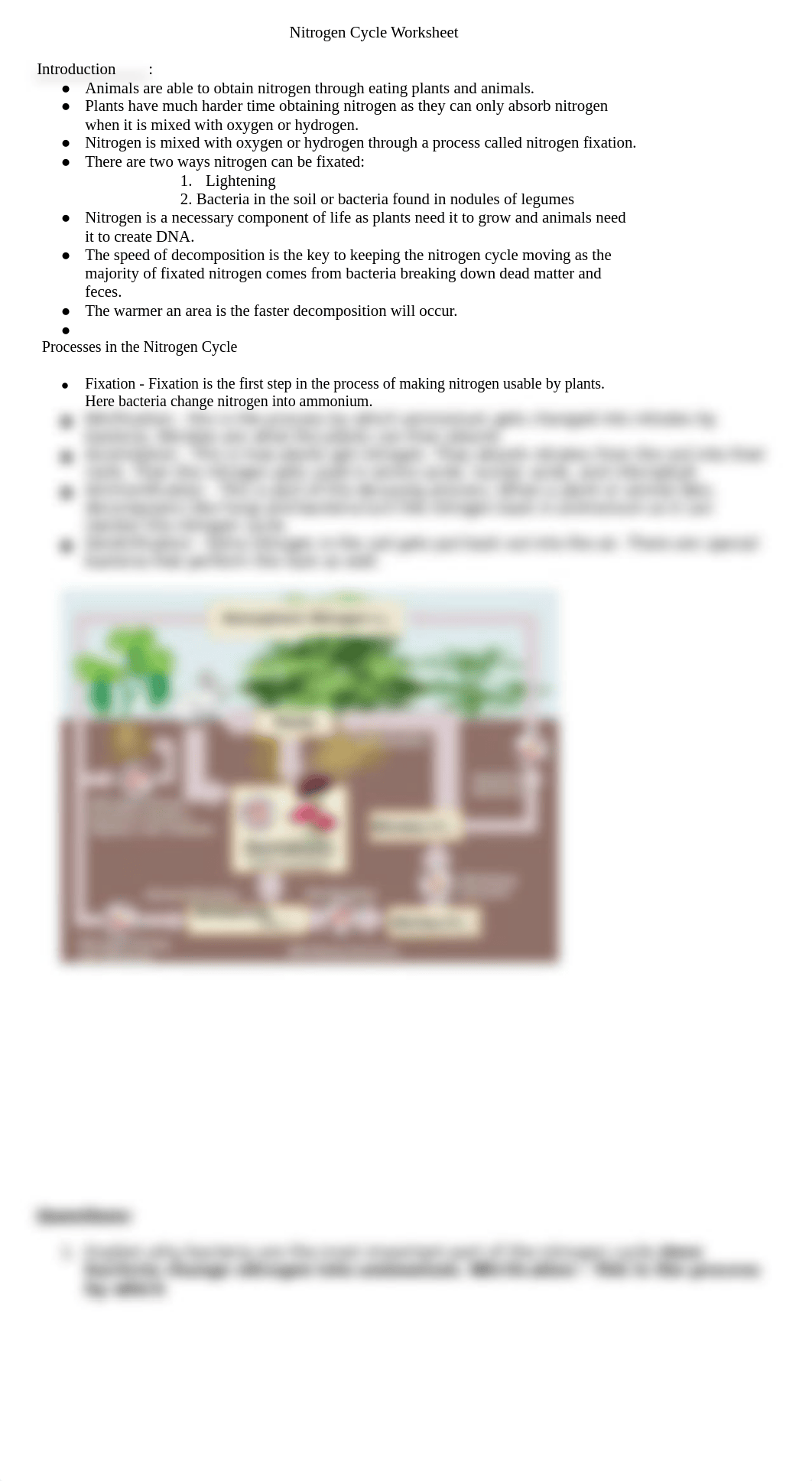 nitrogen_cycle_worksheet-1-1_dgjcpne2jya_page1