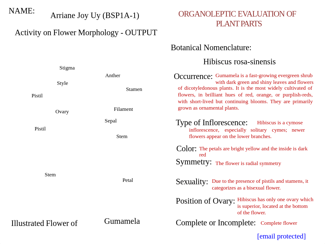 Uy, Arriane_BSP1A-1_ACTIVITY OUTPUT on FLOWER MORPHOLOGY.pdf_dgjdqab62pl_page1