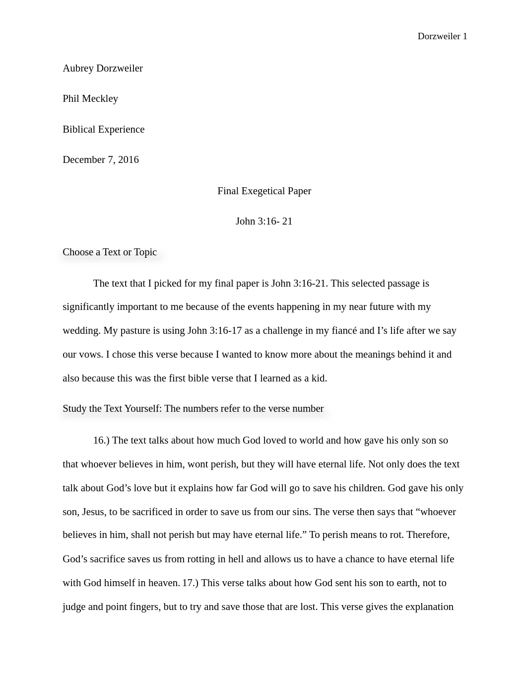 Final exegetical paper.docx_dgjg0nxqgy9_page1