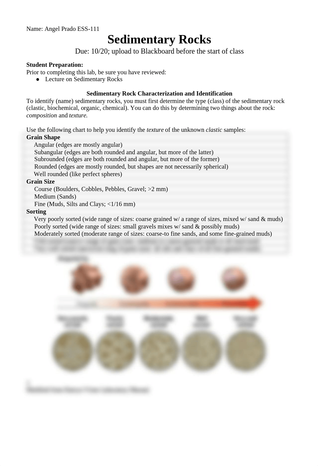 Sedimentary_Lab.docx_dgjnaha0she_page1