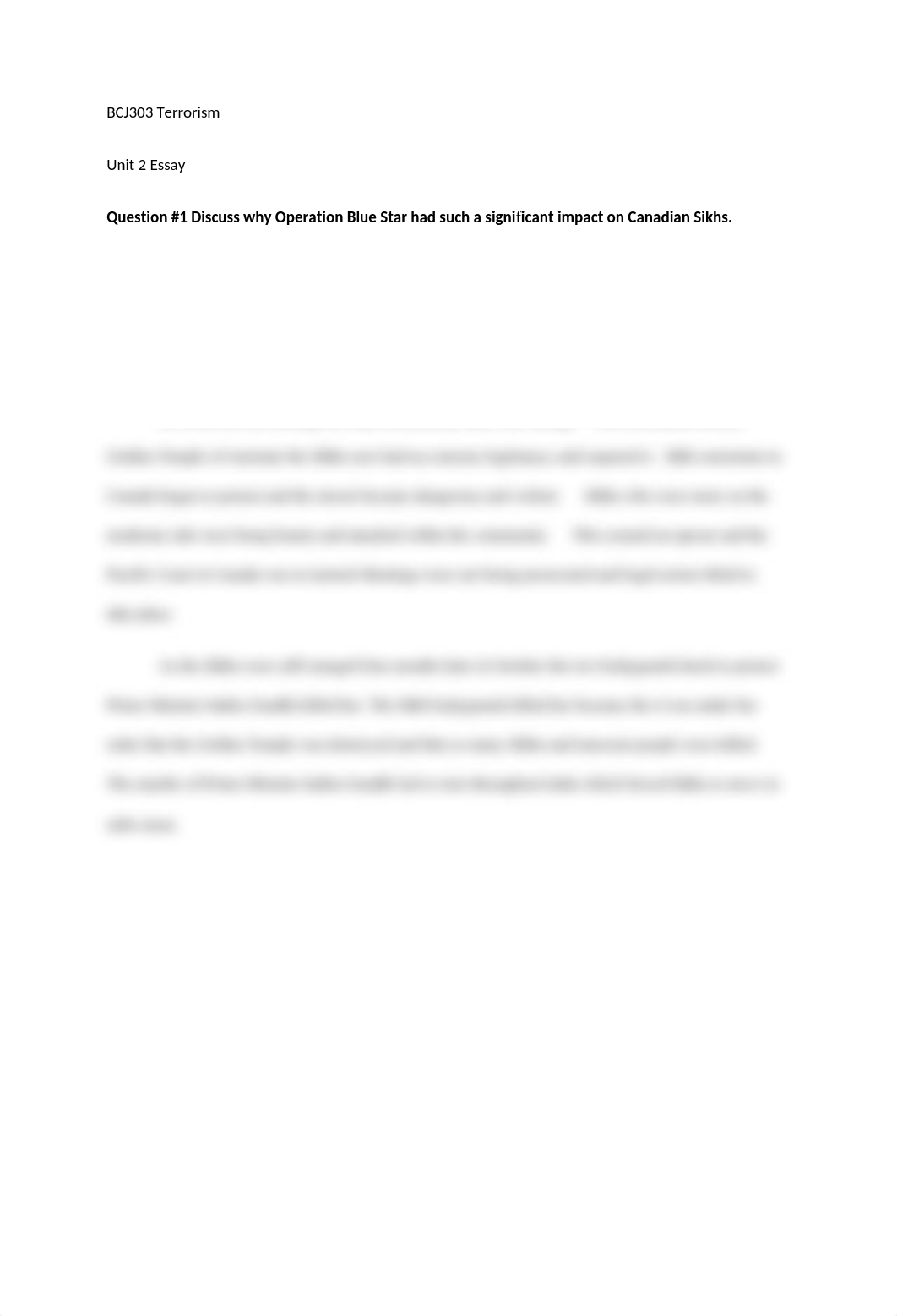 Terrorism Essay #2.docx_dgk1m4sku72_page1