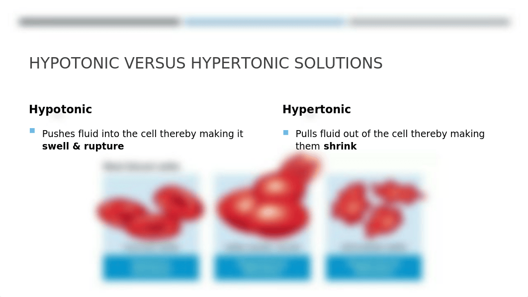 IV Therapy Quiz Review.pptx_dgk5aq1ib2j_page4