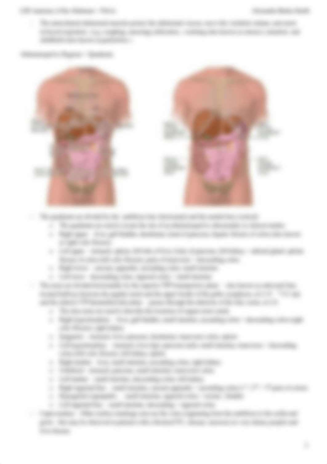 ABS-Anatomy_of_the_abdomen_+_pelvis_dgk6766jjuq_page2