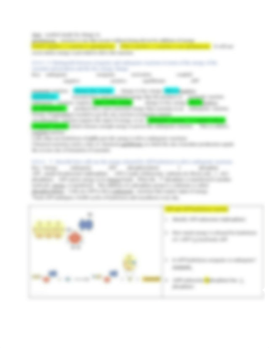 guide 6 revised fall 21 Brooker 5th energy enzymes metabolism (1) (2).docx_dgk7cuo4fn7_page2