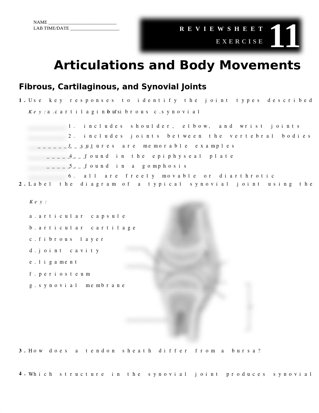 JointsAssignment.docx_dgk9huk48hm_page1