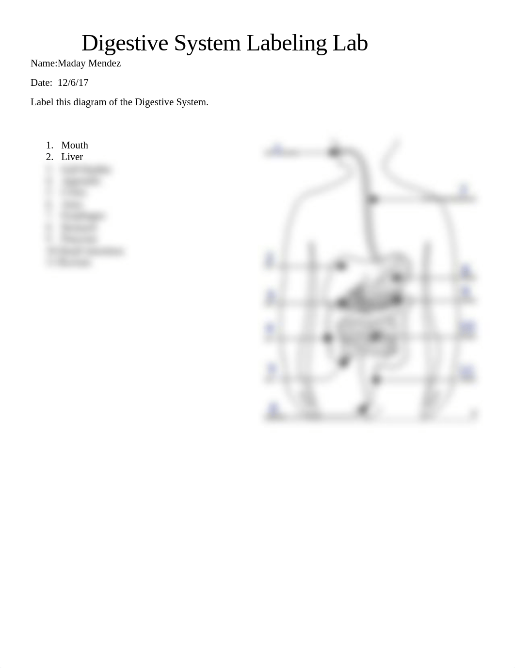 Digestive+System+Labeling+Lab_M.M.docx_dgkbroggzic_page1