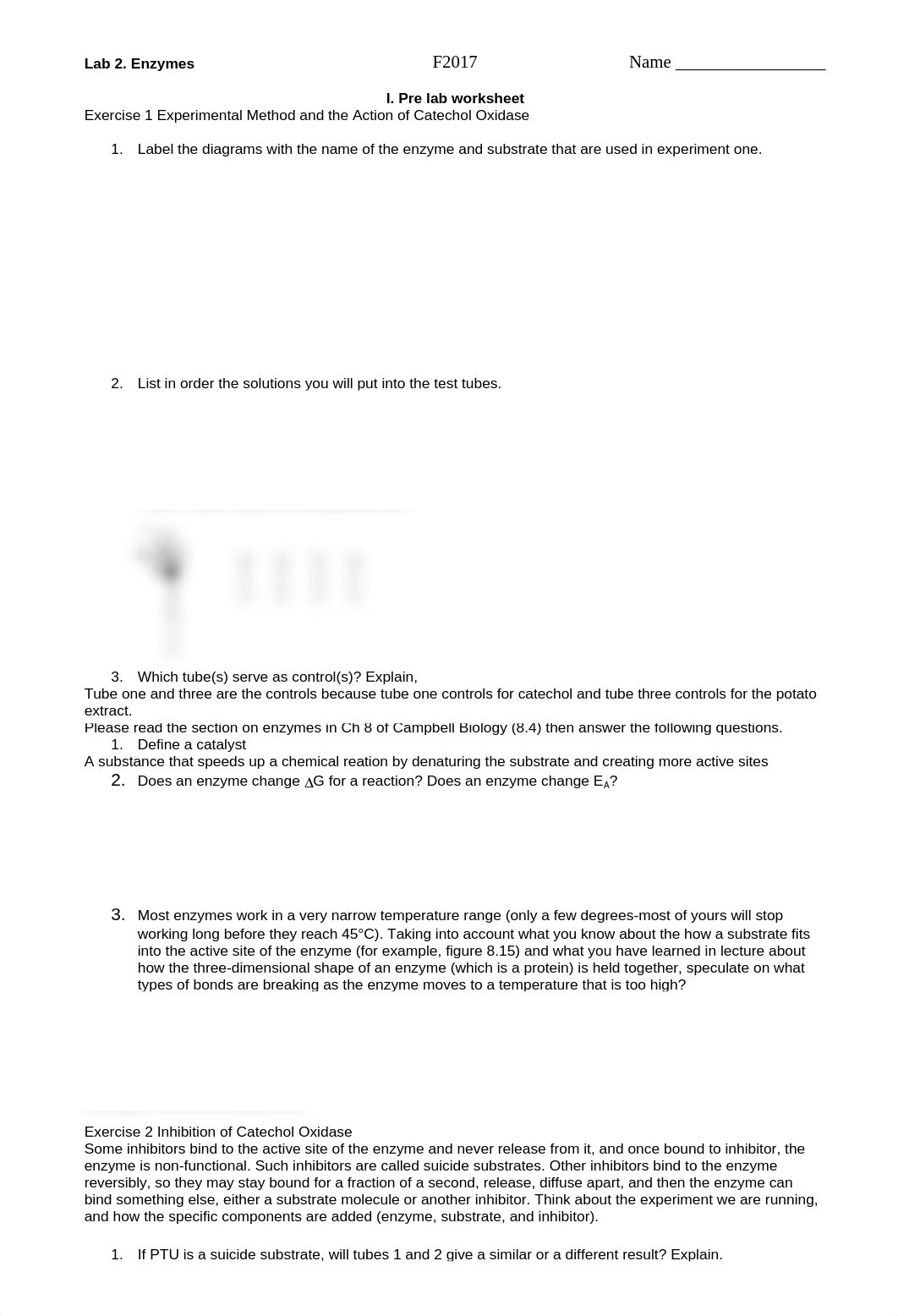 Lab 2 Enzymes Bio61F17.doc_dgkbrpgnbgn_page1