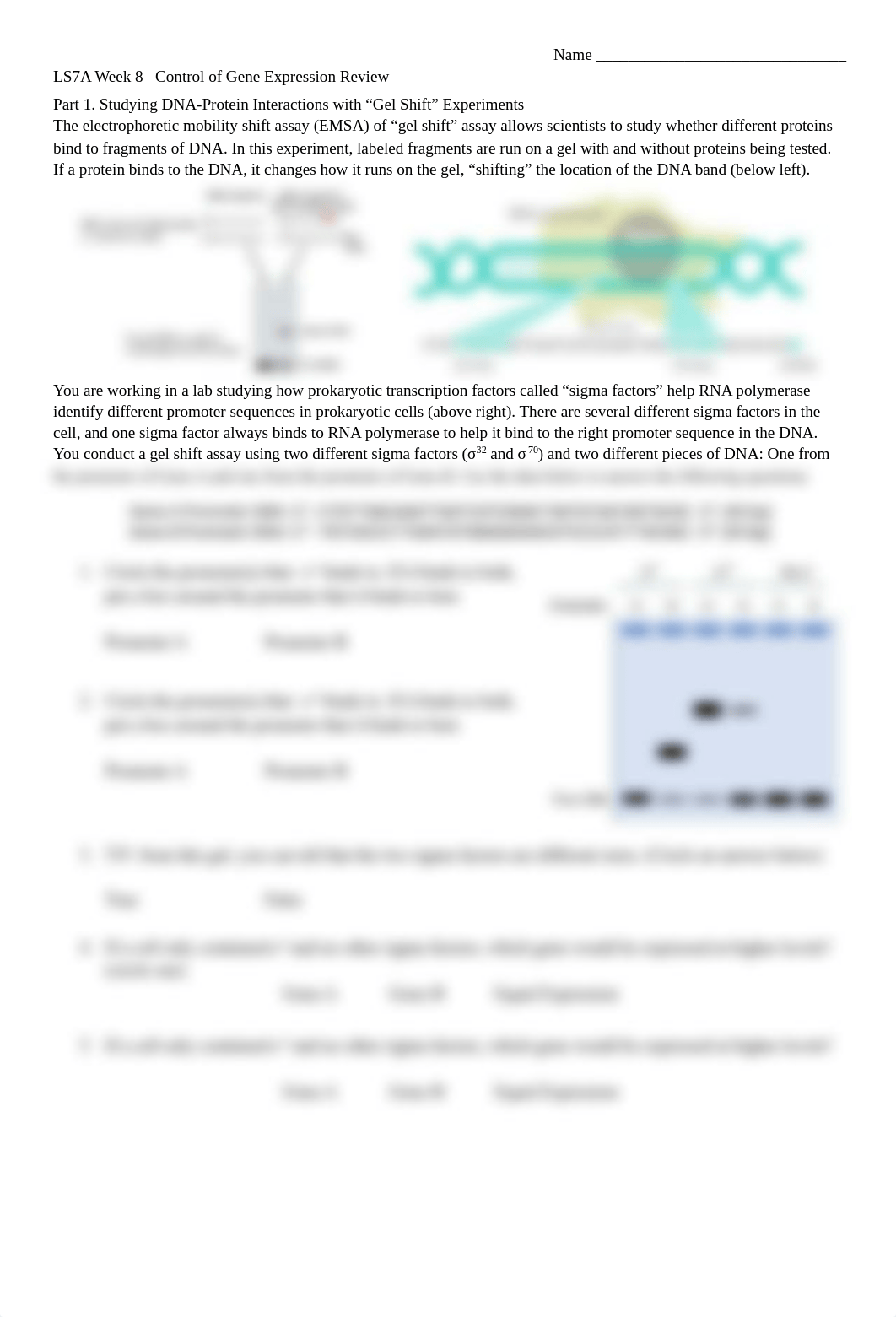 Week 8 Gel Shift  Genome Browser 2021 (1).pdf_dgkdd5kf9t5_page1