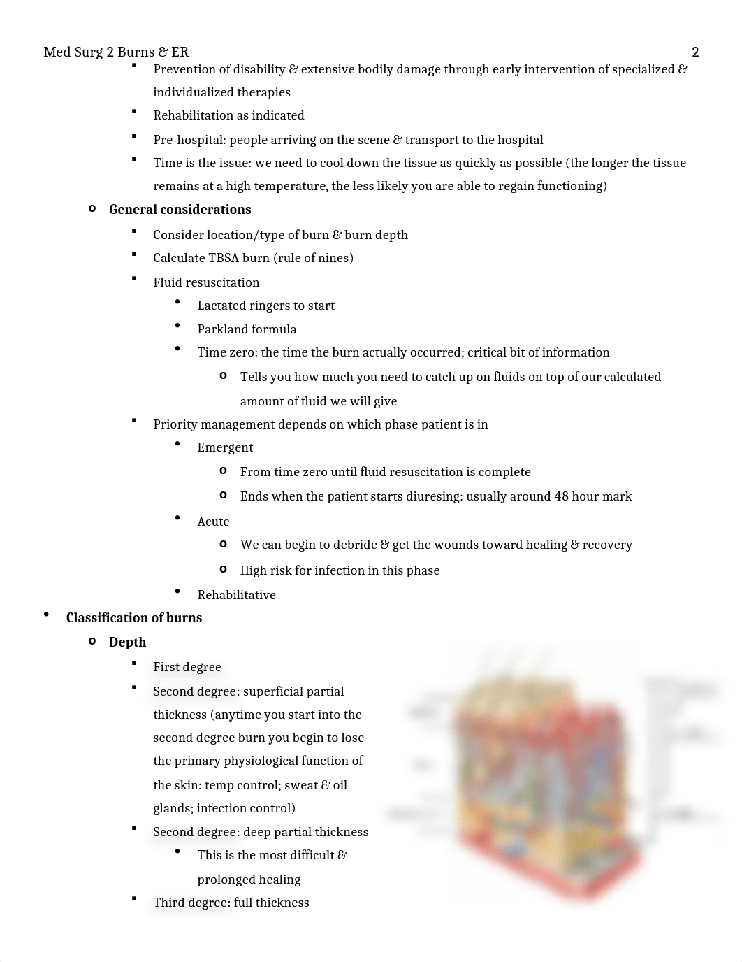 Med Surg 2 Burns & ER Study Guide.docx_dgkfuuj52ak_page2