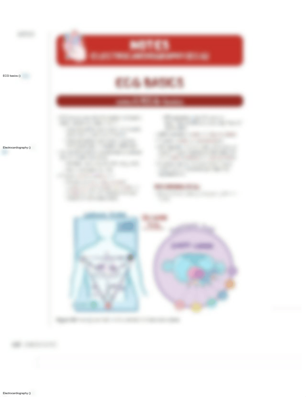 Electrocardiography.- Osmosis.pdf_dgkpaq1ik94_page1