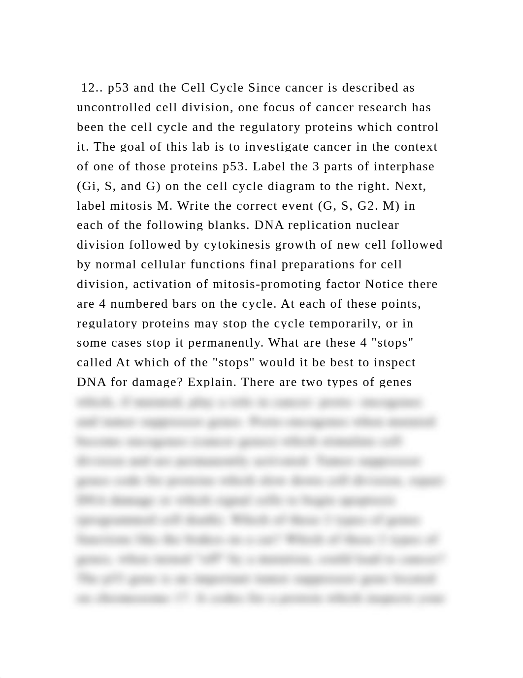 12.. p53 and the Cell Cycle Since cancer is described as uncontroll.docx_dgkrfqlznog_page2