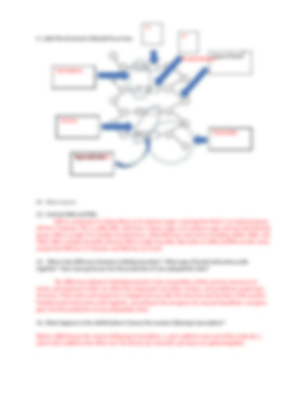 DNA RNA Protein Synthesis Packet.docx_dgkxxqt638i_page2