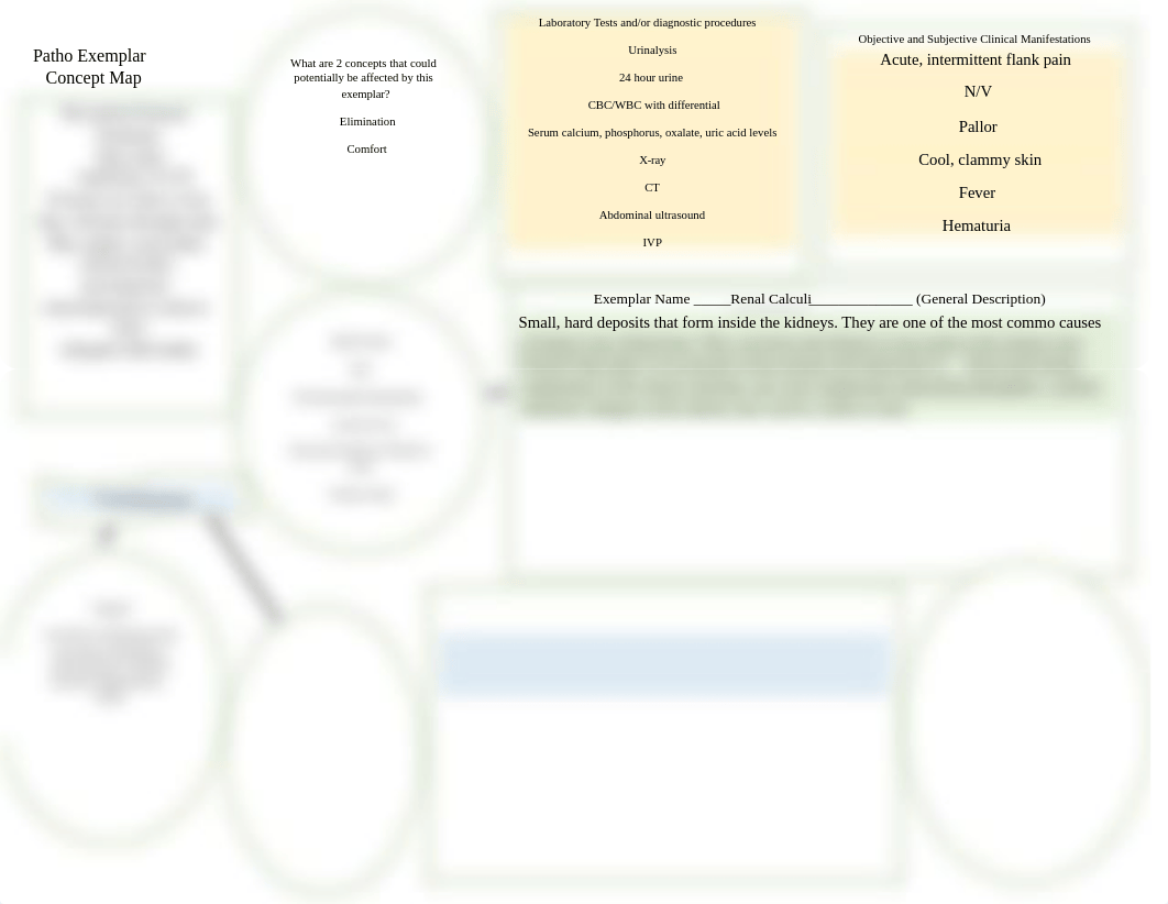 Kue Renal Calculi Concept Map.docx_dgl25u9nvd7_page1