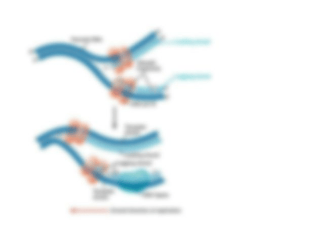 DNA diagram_dglghyia8l3_page3