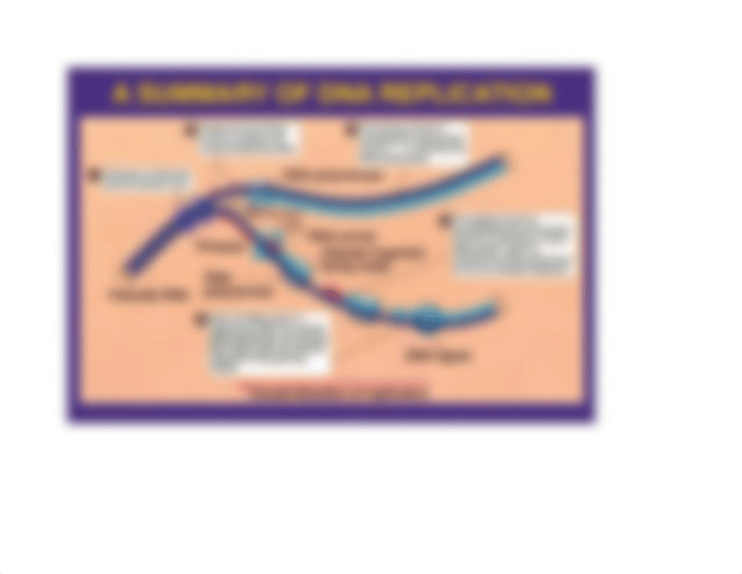 DNA diagram_dglghyia8l3_page2